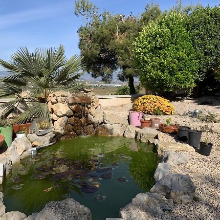 Apartamento Entero Con Vistas Panoramicas Avinyonet del Penedes المظهر الخارجي الصورة